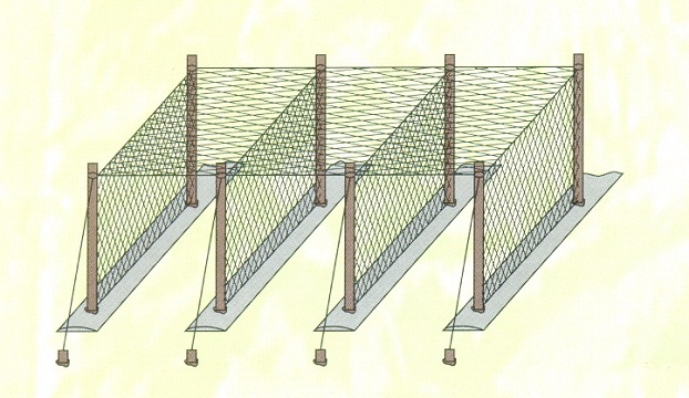 LUOI 4