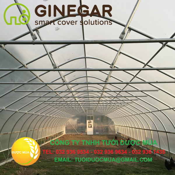Mang nha kinh gingar 1 Màng nhà kính Ginegar
