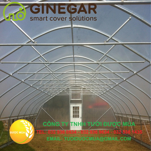 Mang nha kinh gingar Màng nhà kính Ginegar