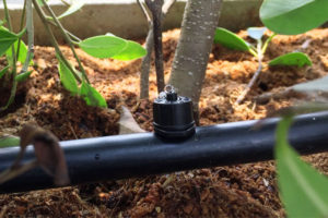 Nơi cung cấp dây tưới nhỏ giọt chính hãng